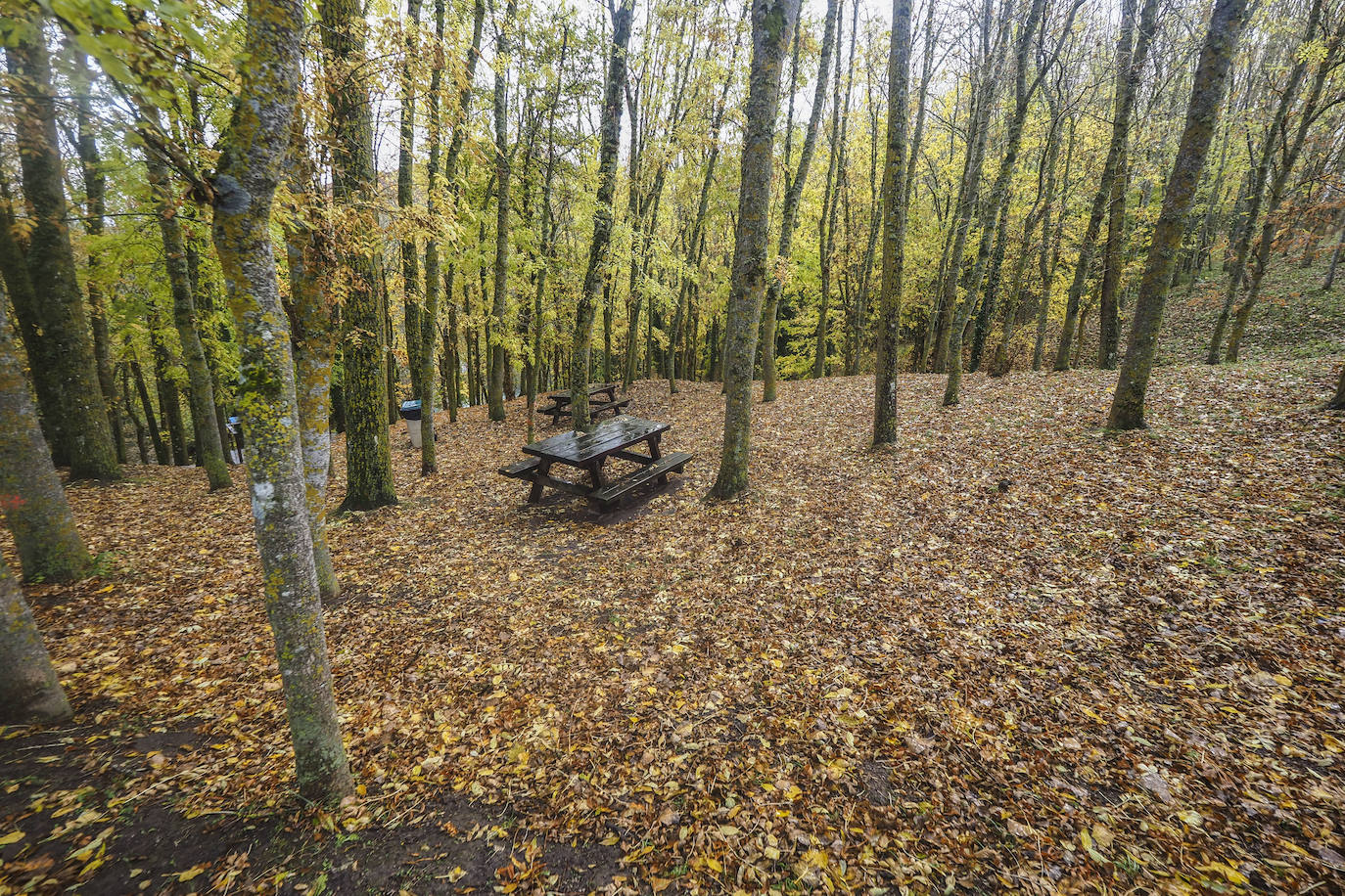 Fotos: Los colores de Campoo en otoño