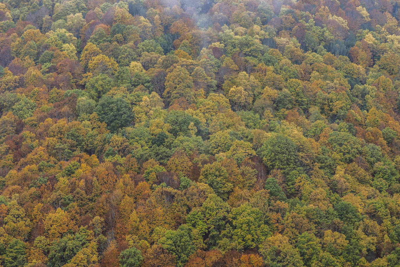 Fotos: Los colores de Campoo en otoño