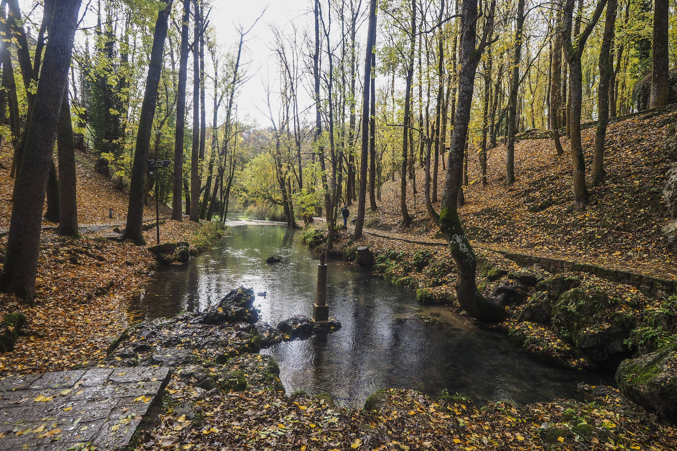 Fotos: Los colores de Campoo en otoño