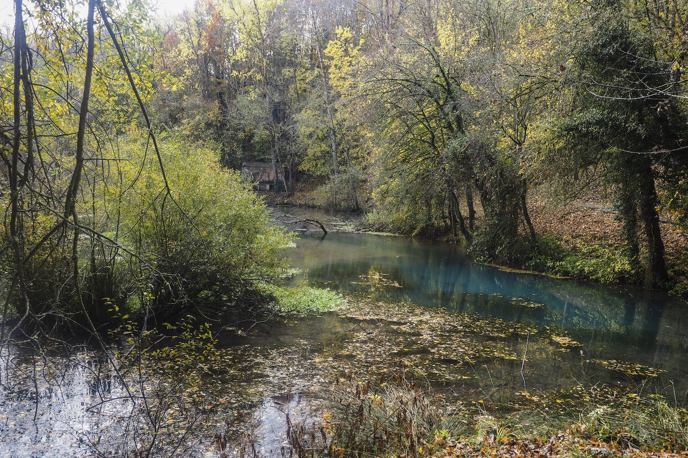 Fotos: Los colores de Campoo en otoño