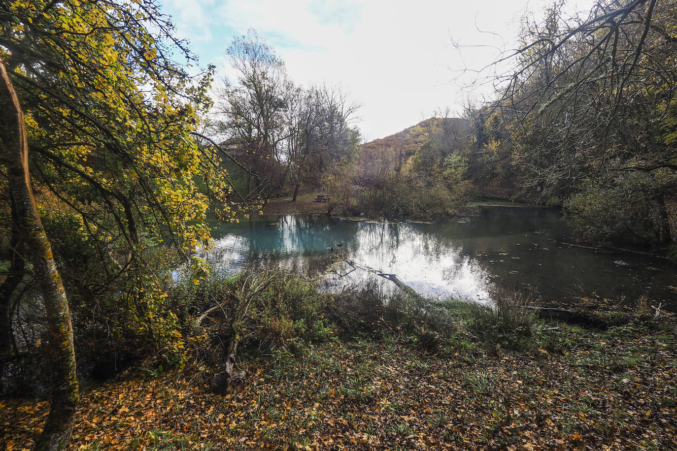 Fotos: Los colores de Campoo en otoño