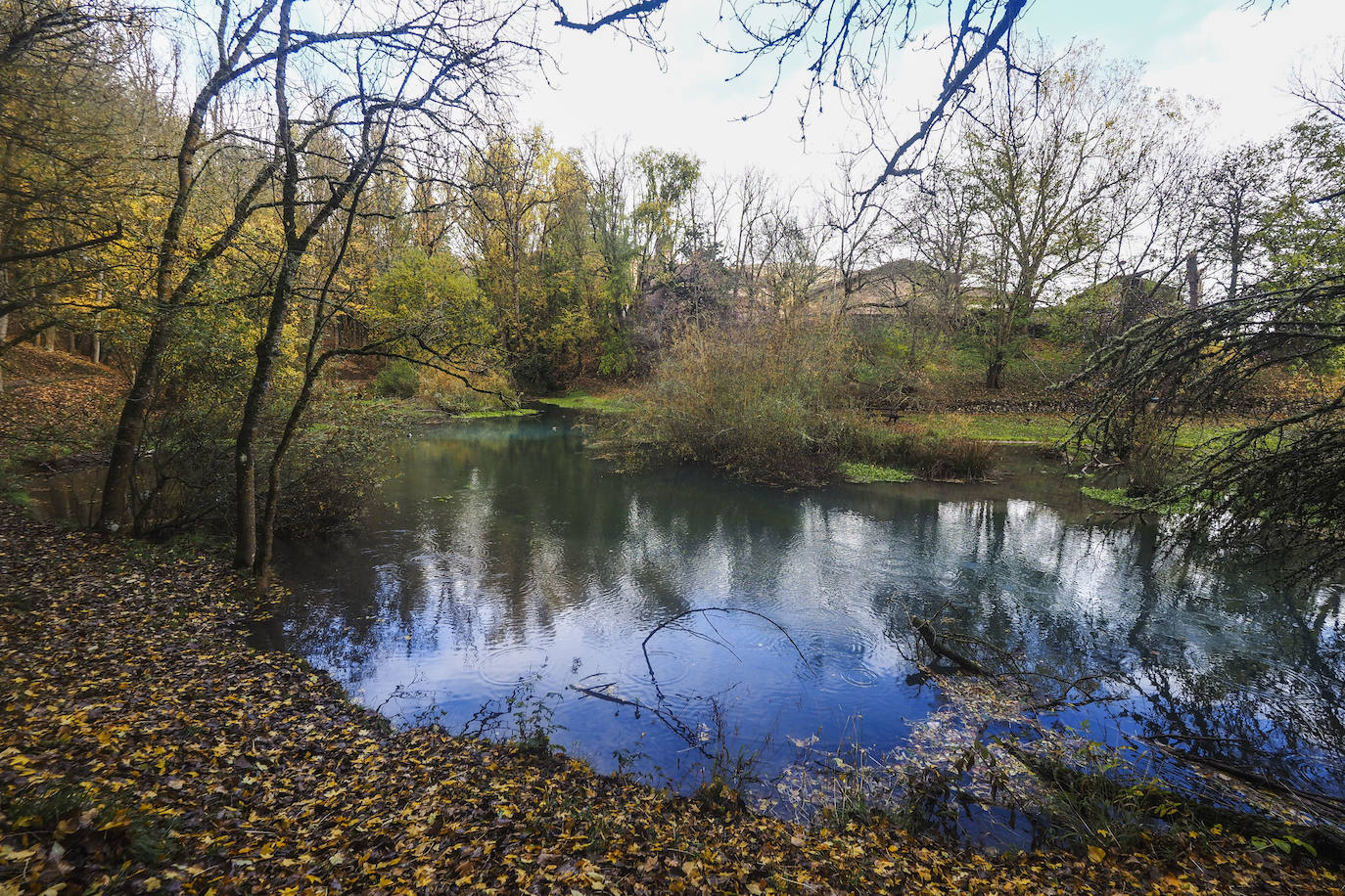 Fotos: Los colores de Campoo en otoño