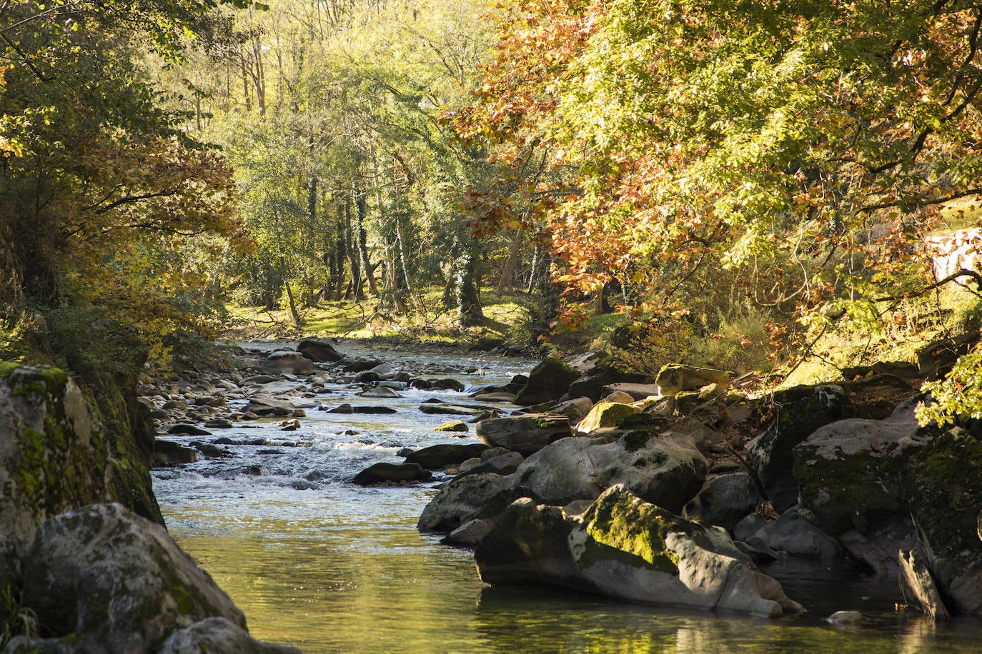 Hay múltiples rincones para detenerse a escuchar el rumor del río y el cántico de los pájaros. 