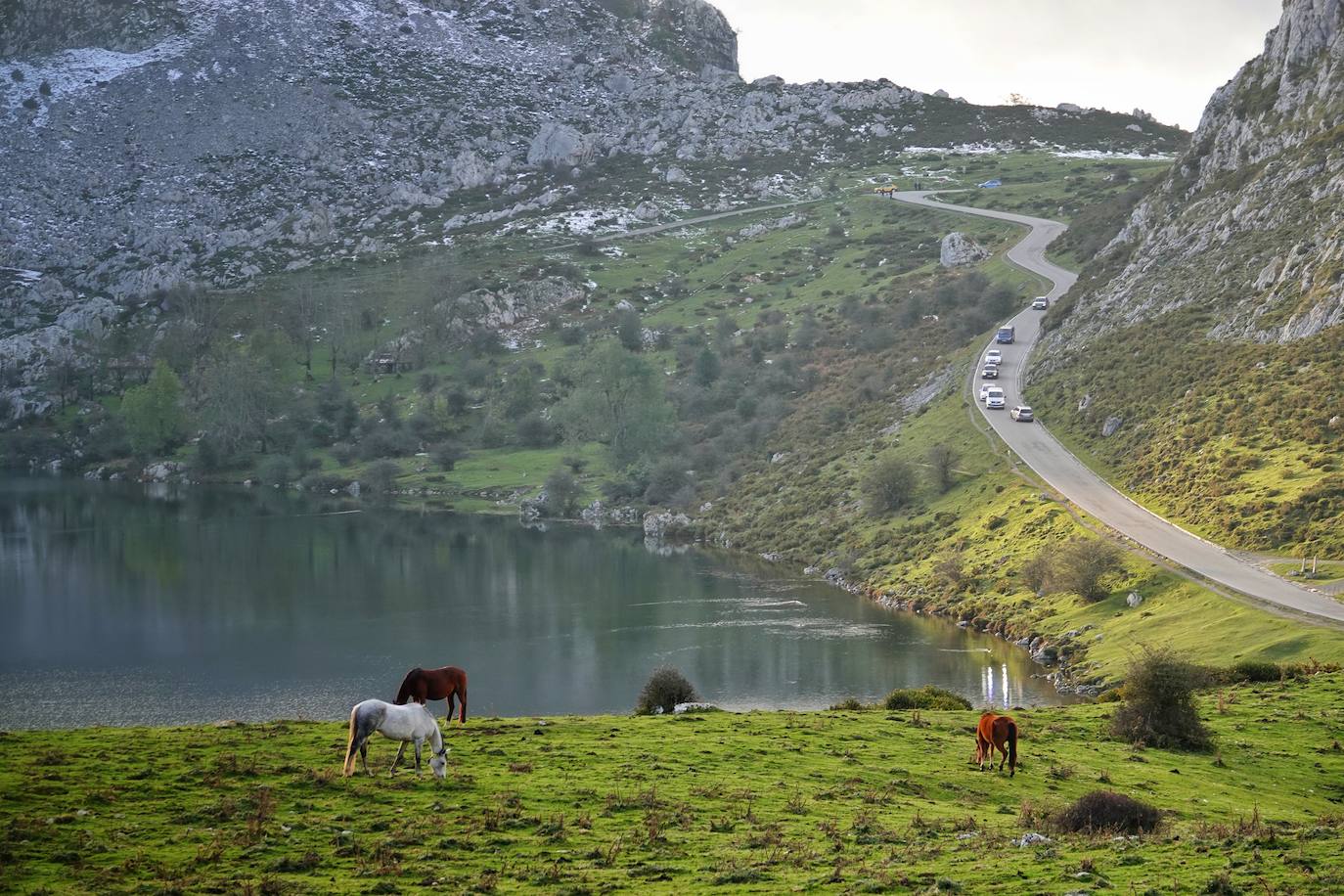 Fotos: Los Lagos de Covadonga, un espectáculo en otoño