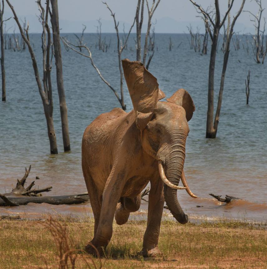 Fotos: Los animales más divertidos