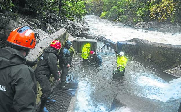 Imagen. Operarios del Gobierno de Cantabria estudian el salmón en Puente Viesgo. 