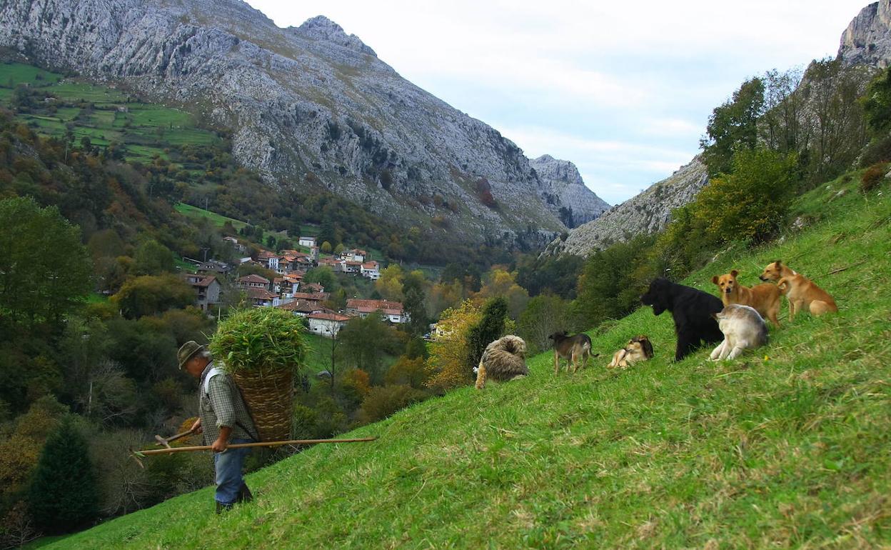 Vista de Miera.