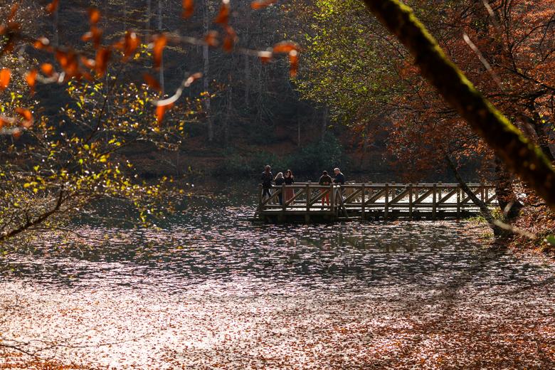 Un hombre disfruta de un cálido día de otoño en el Parque Nacional Yedigoller cerca de Bolu, Turquía, el 9 de noviembre de 2021. 