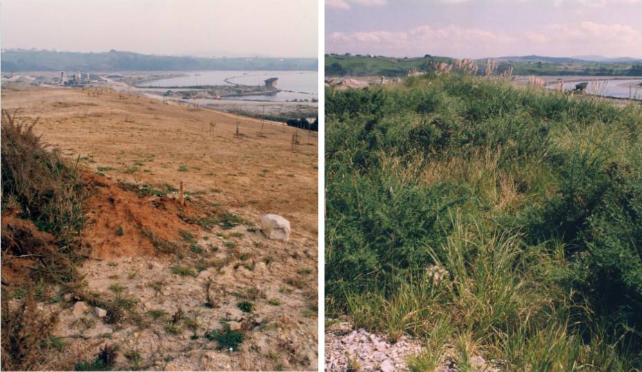 Fotos: Antes y después en la vieja cantera