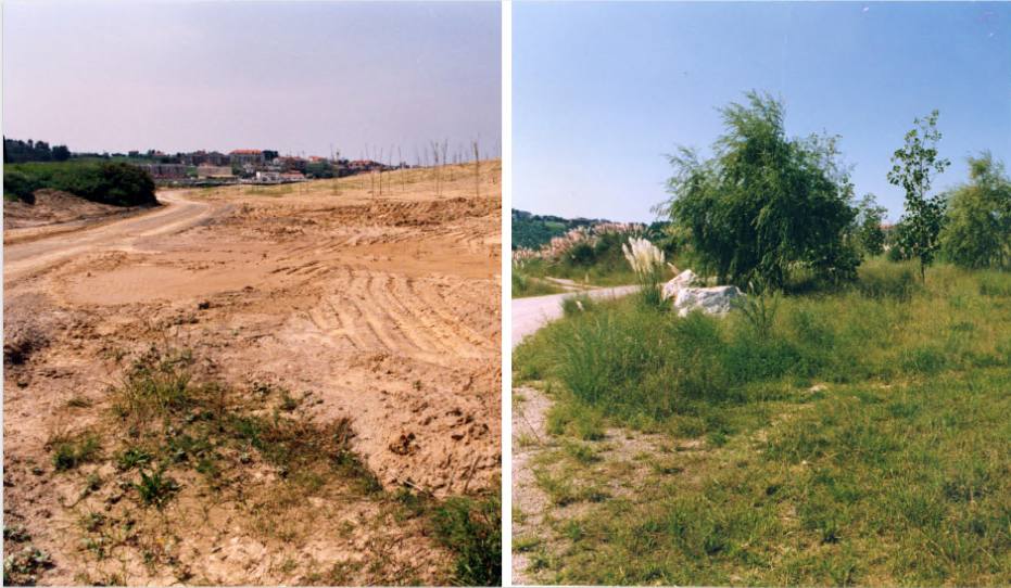 Fotos: Antes y después en la vieja cantera