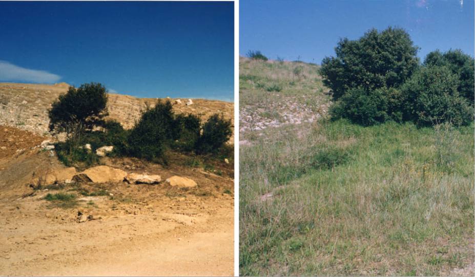 Fotos: Antes y después en la vieja cantera