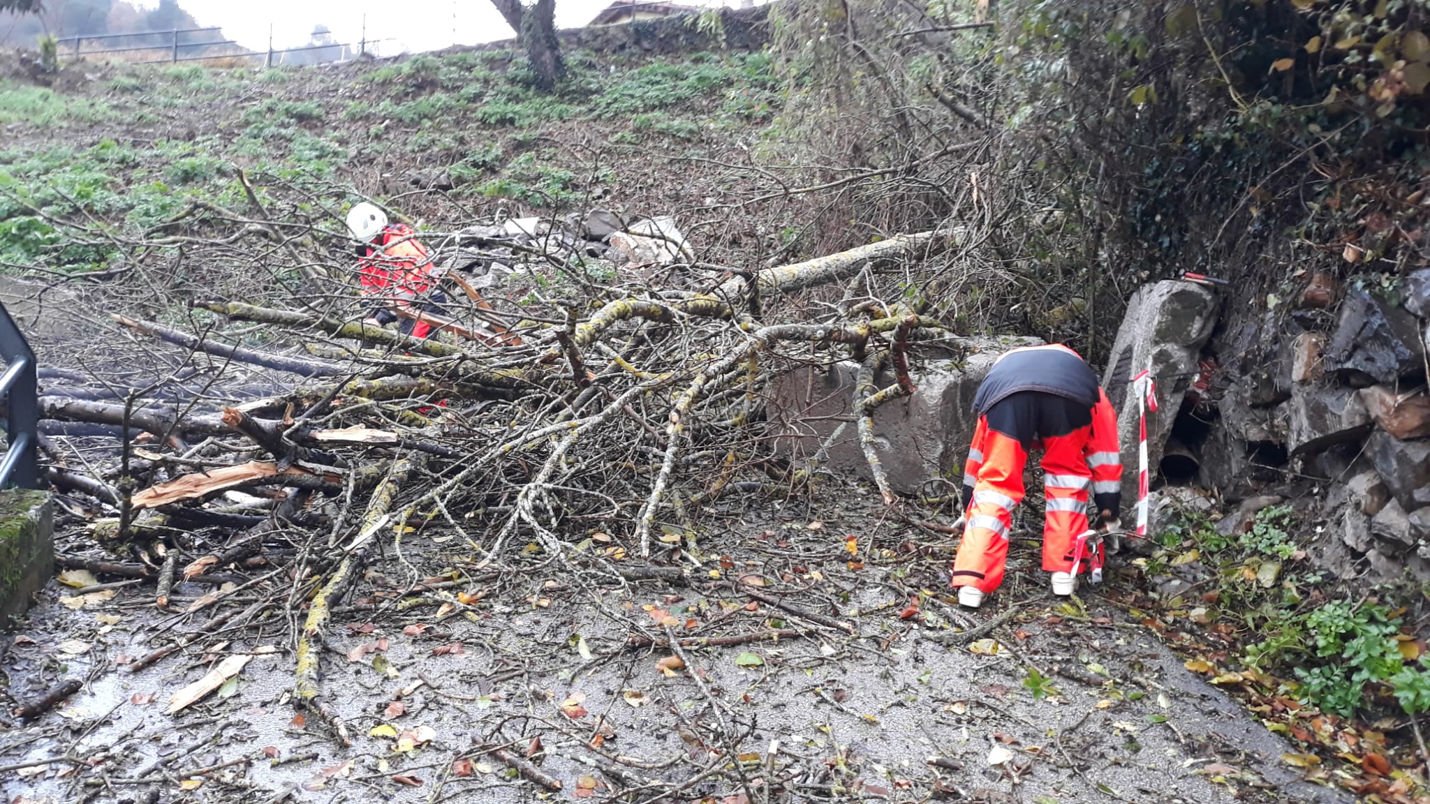 Retirada de árboles caídos en el acceso a Castro Cillorigo DE Liébana.