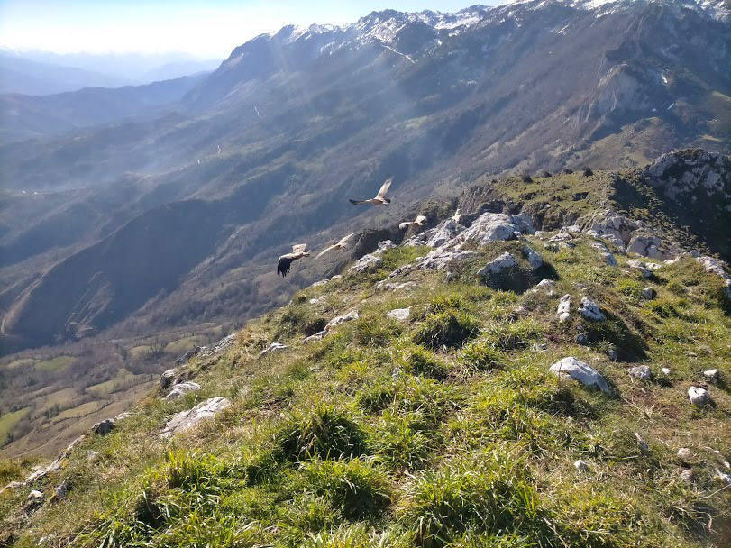 Vistas desde la ruta al Pico la Mostayal (Asturias).