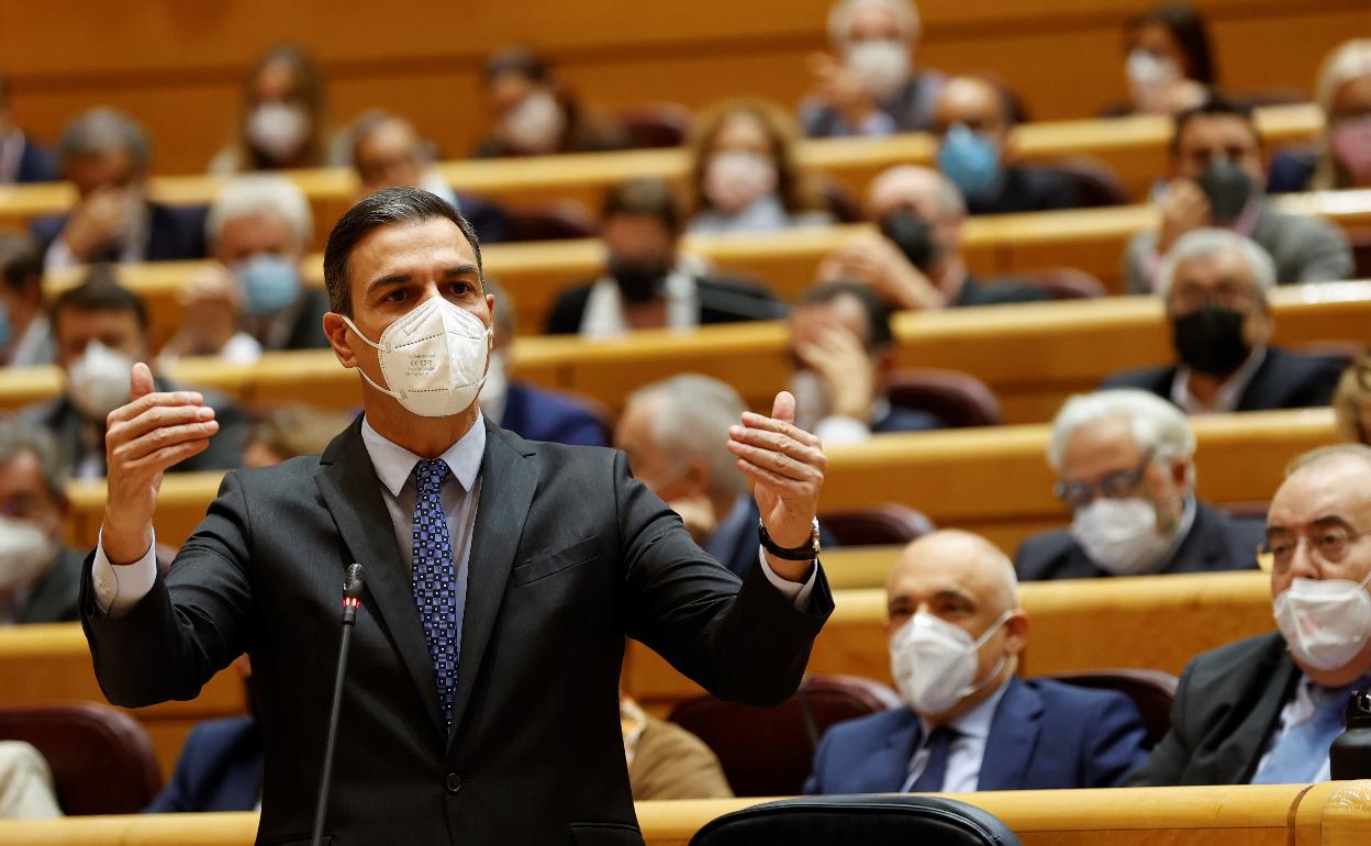 El presidente del gobierno, Pedro Sánchez, en el Senado.