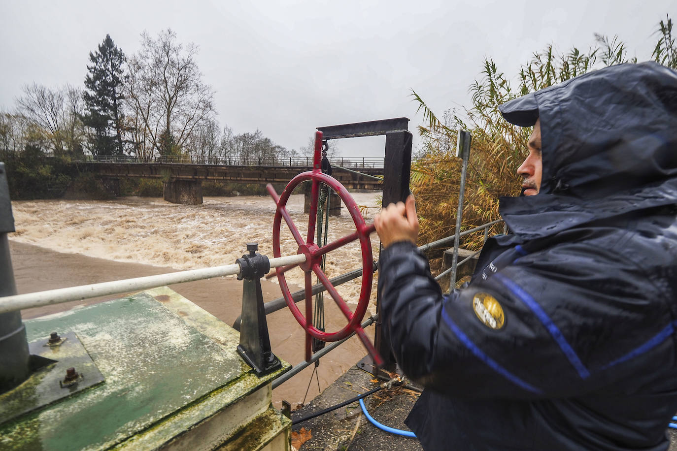 El río, a su paso por el Coto de Güedes.