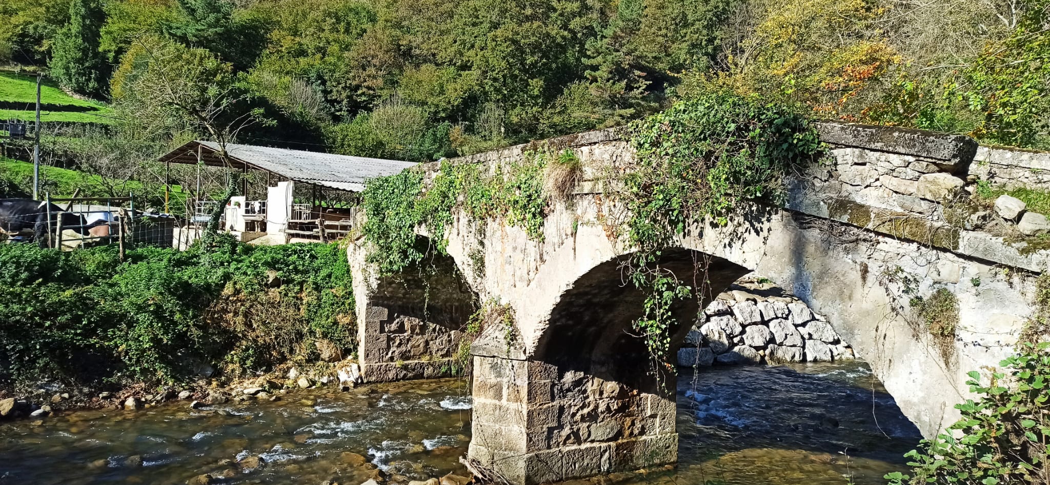 Puente con pilares romanos de Vega La Dueña.