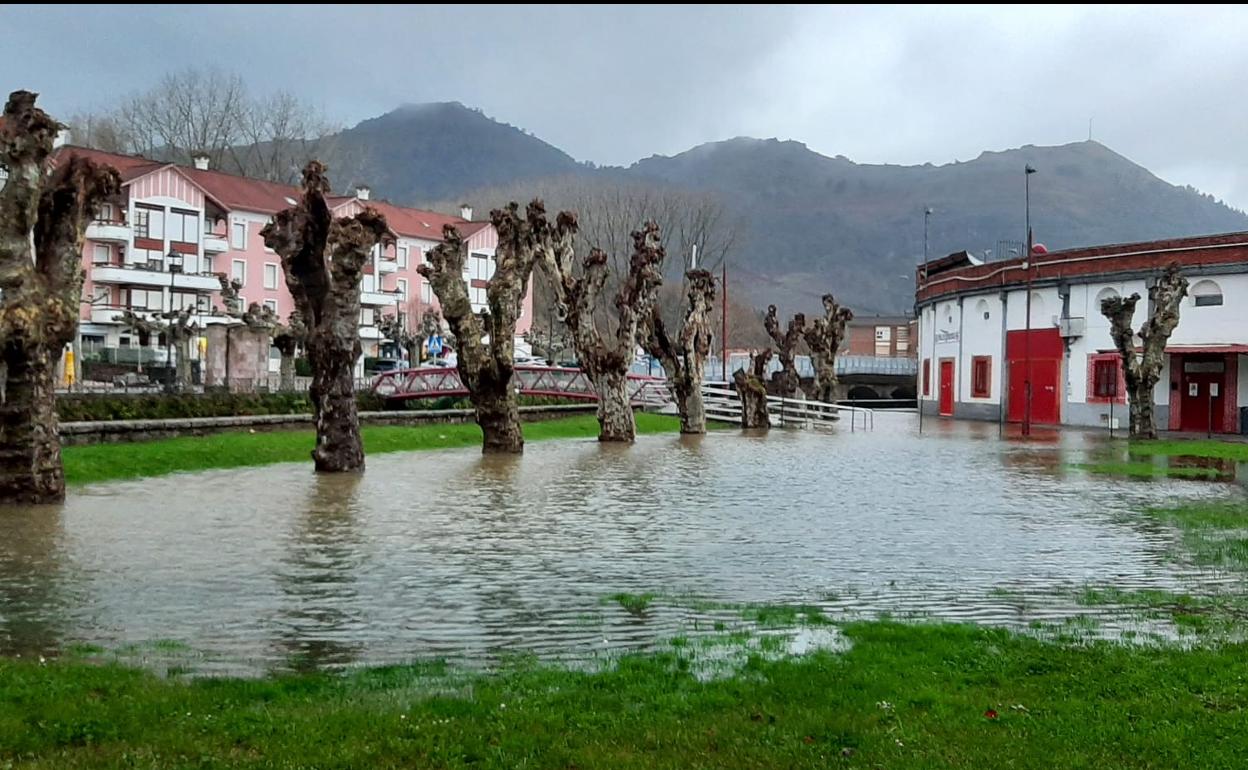 Así ha amenecido este viernes La Nogalera.