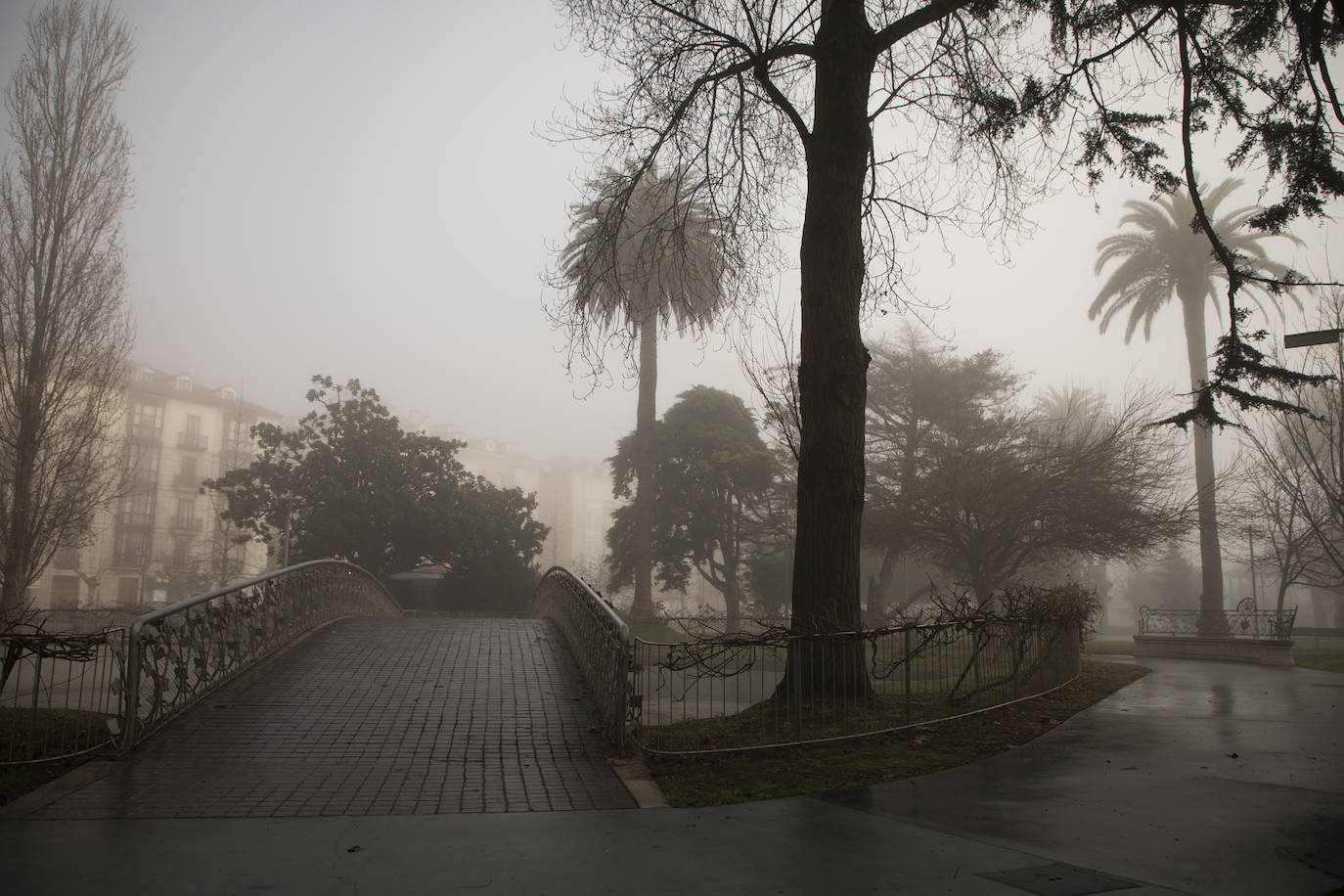 Fotos: La niebla en el amanecer de Santander