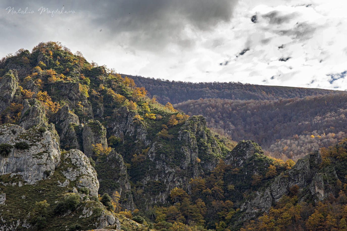 Hay quien llama a esta zona de Cantabria la pequeña Suiza, pero por qué vamos a compararnos a otro lugar si Liébana alberga sus propios tesoros por descubrir a lo largo y ancho de sus valles. Los paisajes son de profunda belleza y relieves extremos, donde los Picos de Europa se imponen como protagonistas y guardianes de estas tierras