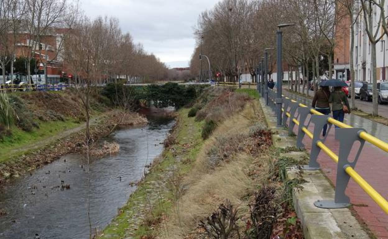 El Paseo del Cauce de Valladolid, lugar en el que han ocurrido los hechos. 