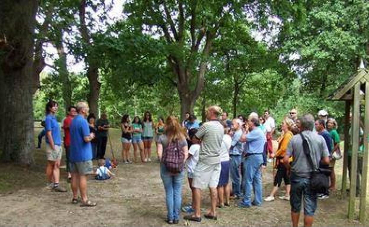 Asistentes a una de las visitas guiadas al Arboreto de Liendo.