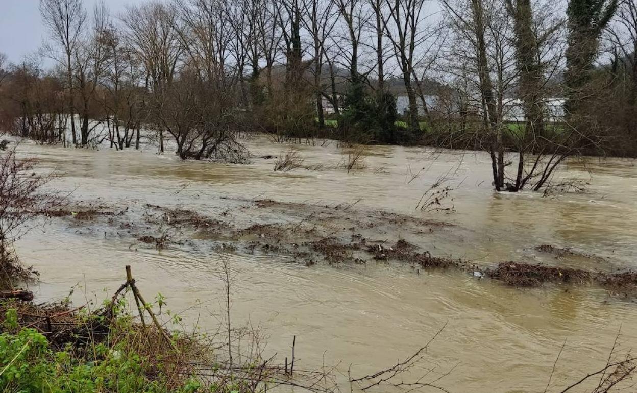 Imágenes del río Asón este mediodía, a su paso por Ampuero.