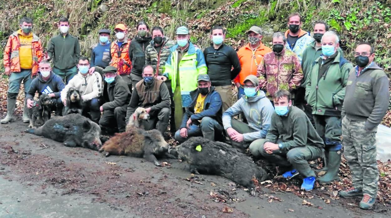 Integrantes de la cuadrilla 115, dirigida por Juan Manuel Díaz Calderón, con los tres ejemplares abatidos en Valfría, en la comarca de Cabuérniga, en una cacería en la que se levantaron bastantes jabalíes. 