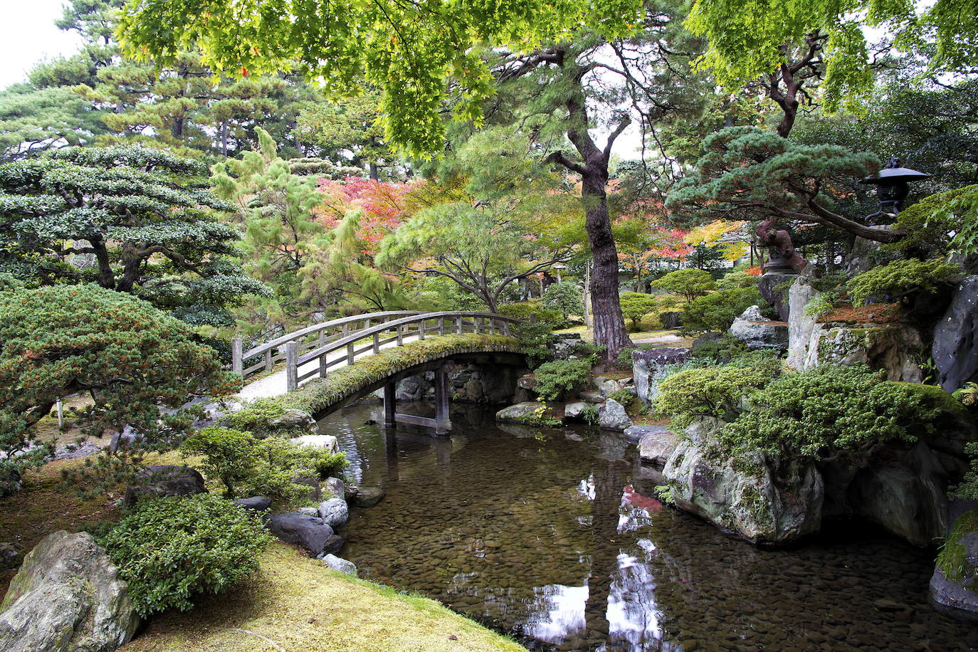 Kyoto (Japón)