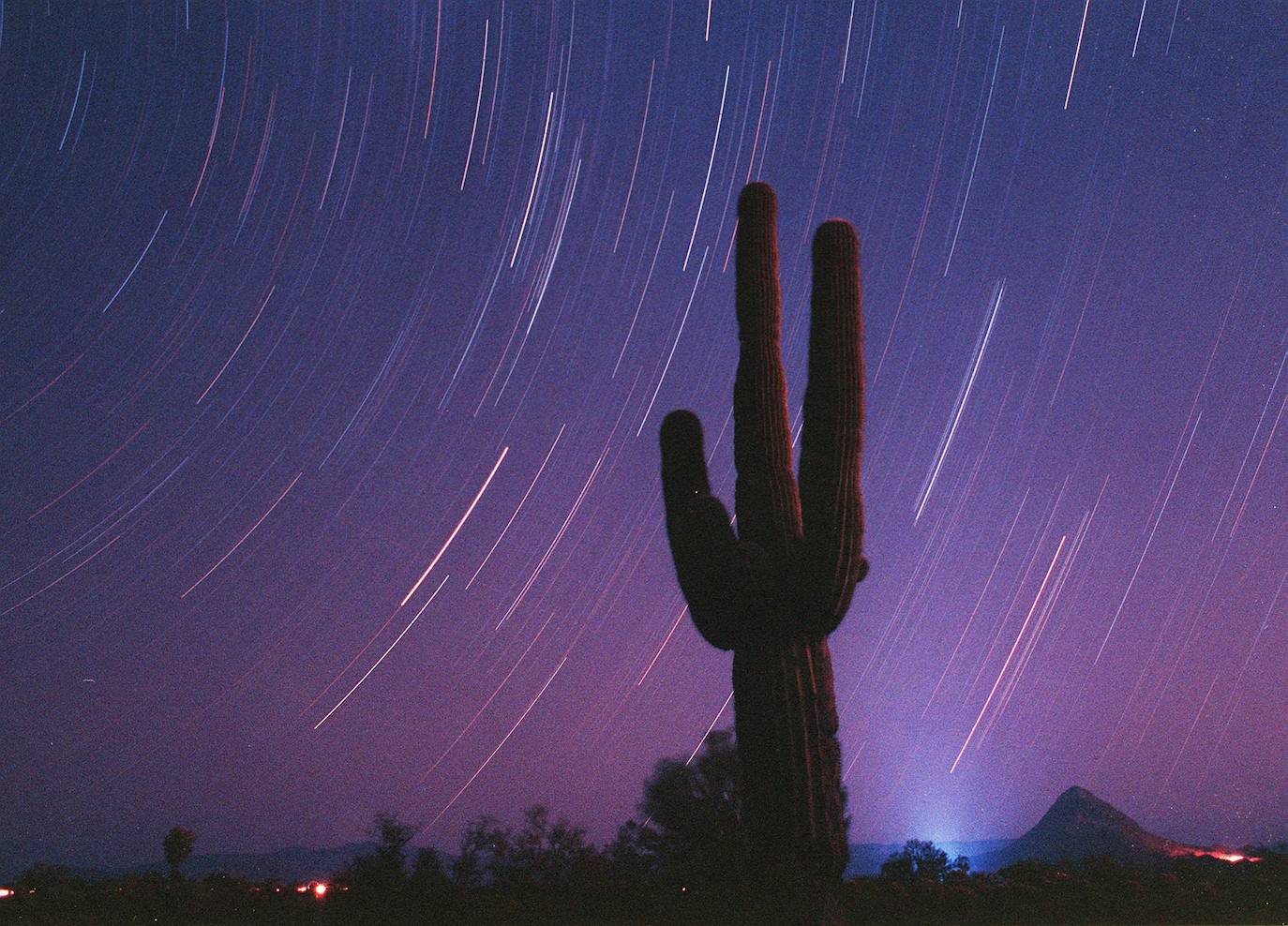 Parque Nacional Saguaro (Arizona)