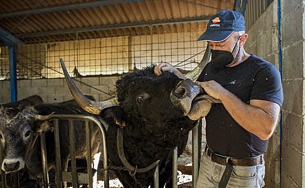 El 'titular': Manuel Herrero lamenta profundamente las declaraciones del ministro Garzón porque, más allá de los matices, «al final lo que ha quedado es el 'titular', o sea, que la carne que se produce en España es de mala calidad y que maltratamos a los animales. Y eso es inaceptable».