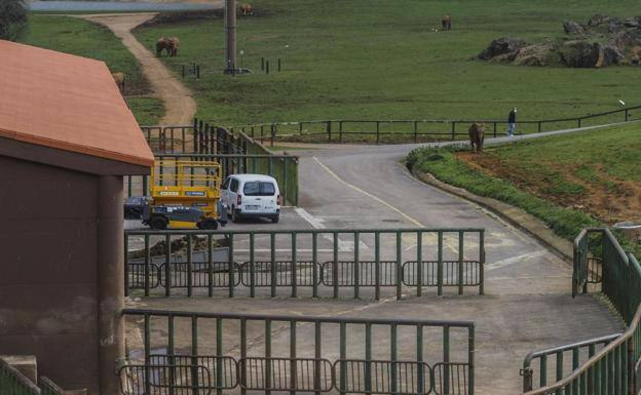 Una de las víctimas por accidente laboral contabilizada en 2021 es el trabajador de Cabárceno que murió tras ser golpeado por una elefanta.