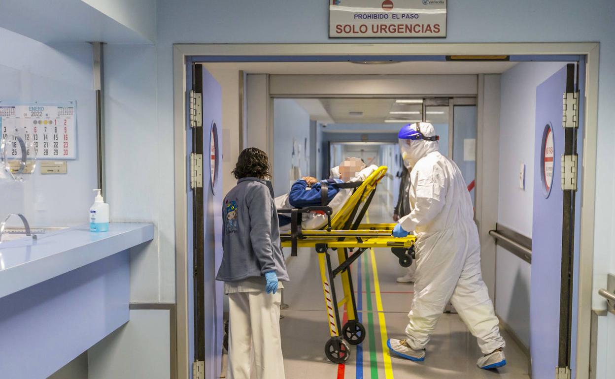 Un sanitario con EPI traslada a un enfermo en el Hospital Valdecilla. 