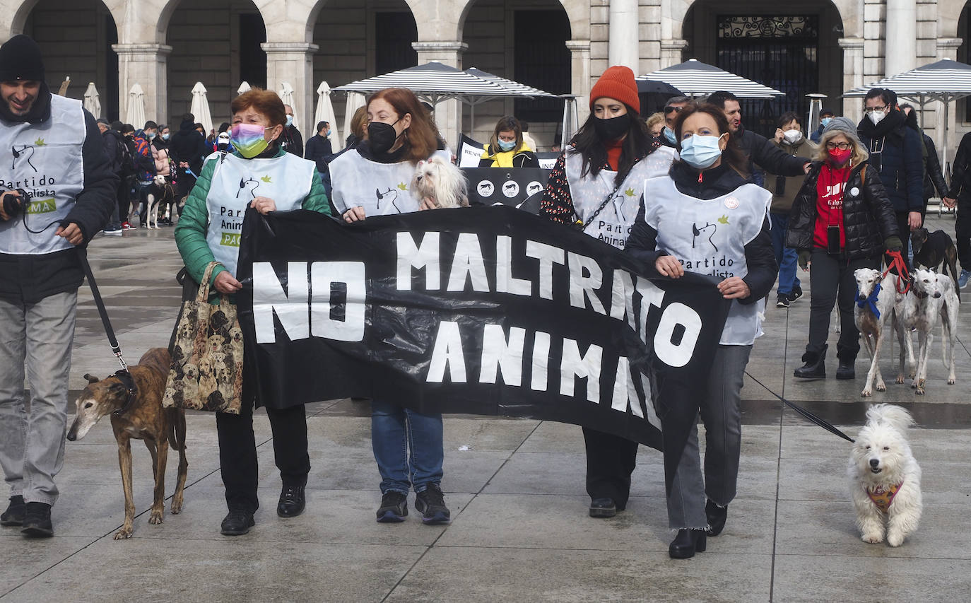 Fotos: Manifestación en Santander para pedir la protección de los canes utilizados en la caza y poner fin a la actividad