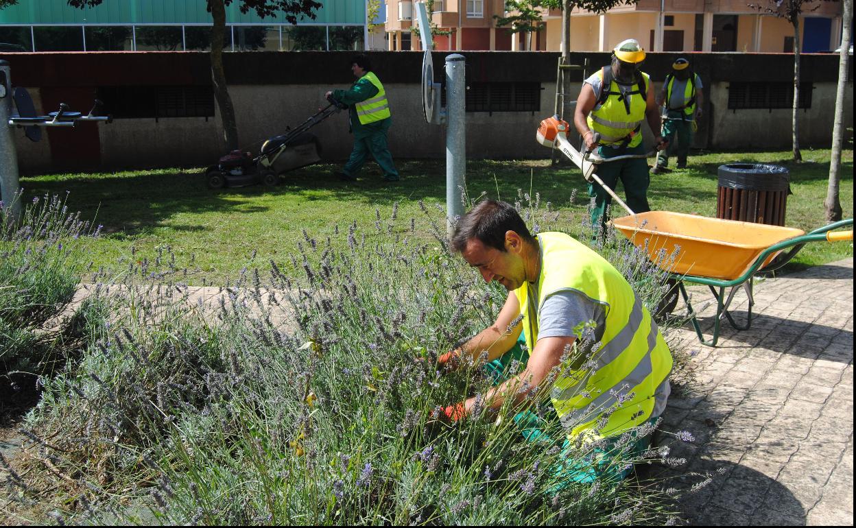 Alumnos de una pasada escuela-taller de jardinería acondicionando una zona verde del municipio.