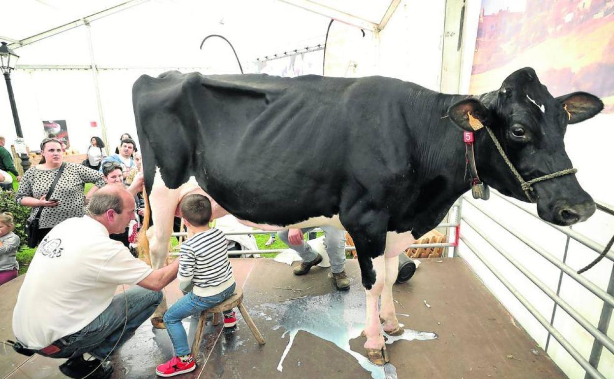 Imagen de la Feria de la Leche de Ruiloba de 2020. 