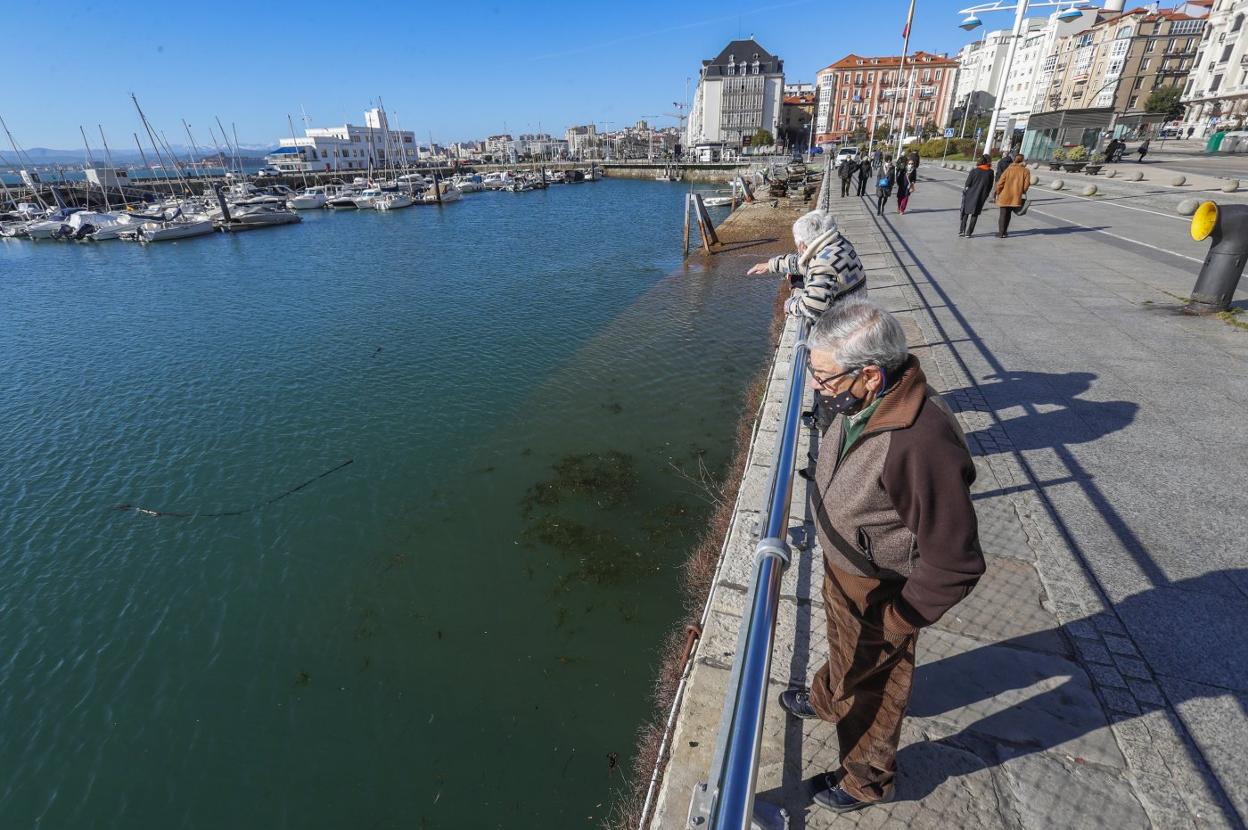 Un grupo de viandantes observan la zona de atraque del Club Deportivo Amigos de Puertochico, ya sin pantalanes.
