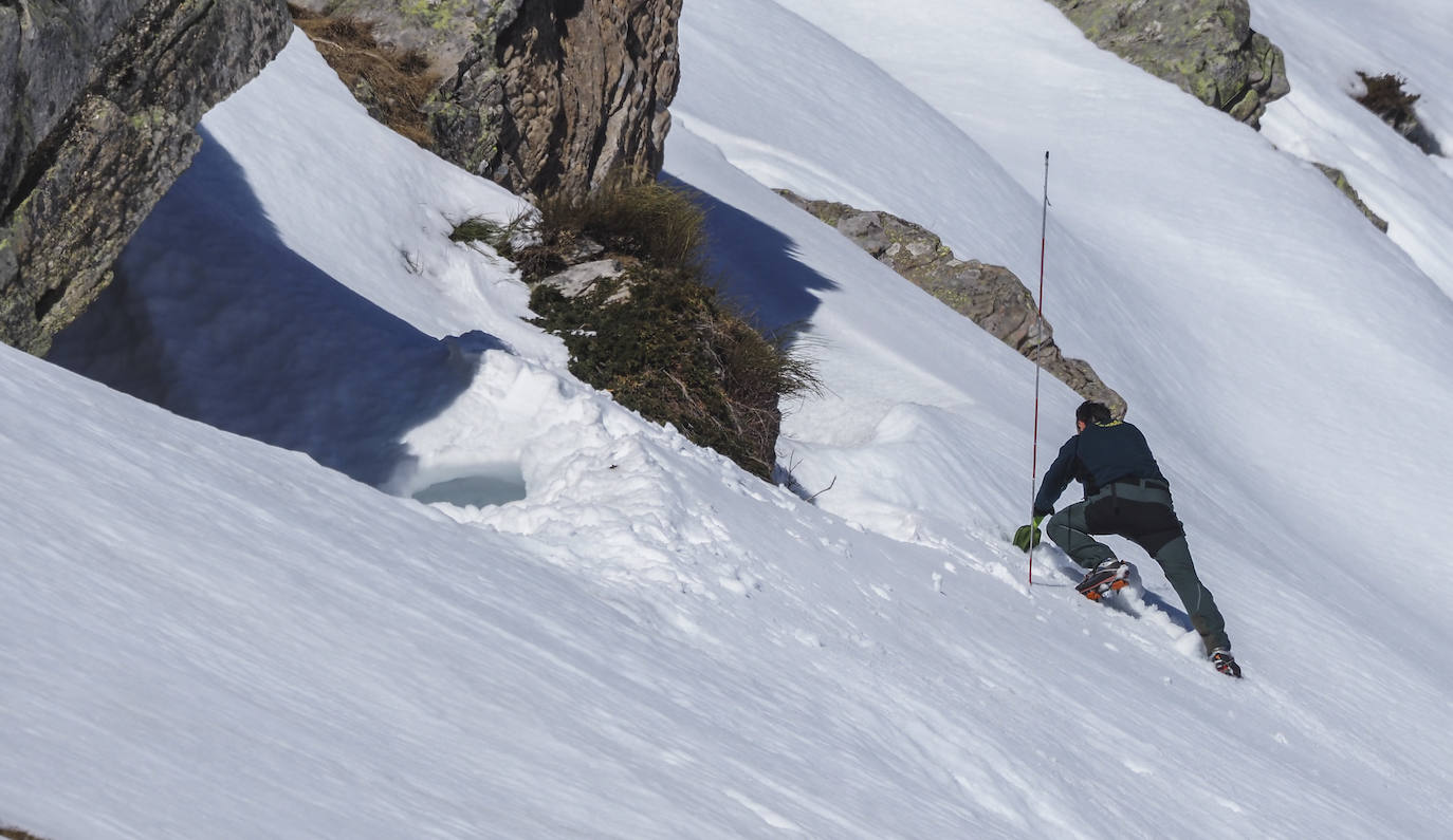 Fotos: Efectivos del Greim realizan simulacros de salvamento en Alto Campoo