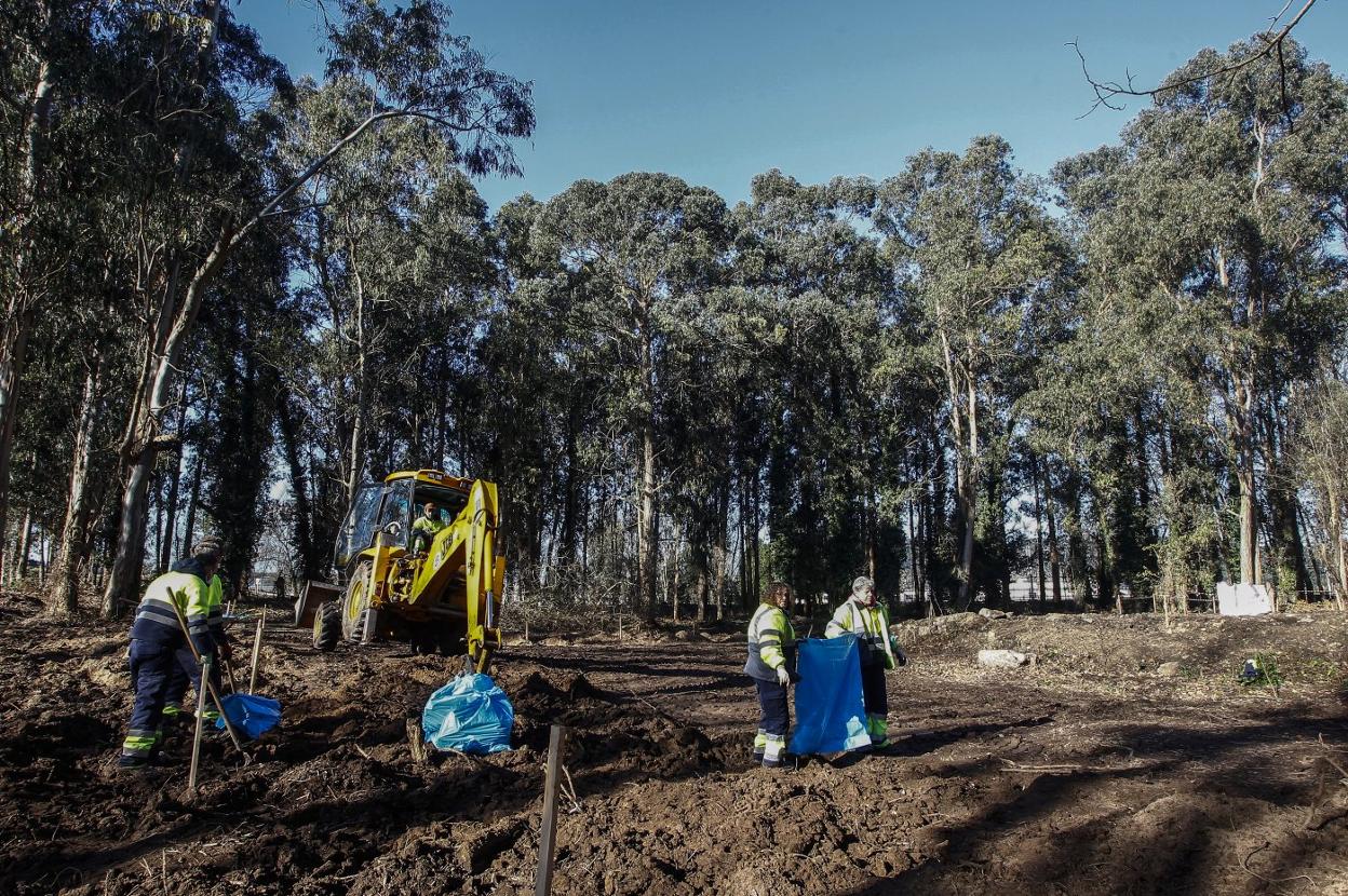 Trabajadores de Corporaciones Locales realizan trabajos de limpieza y acondicionamiento en los terrenos de El Patatal. 