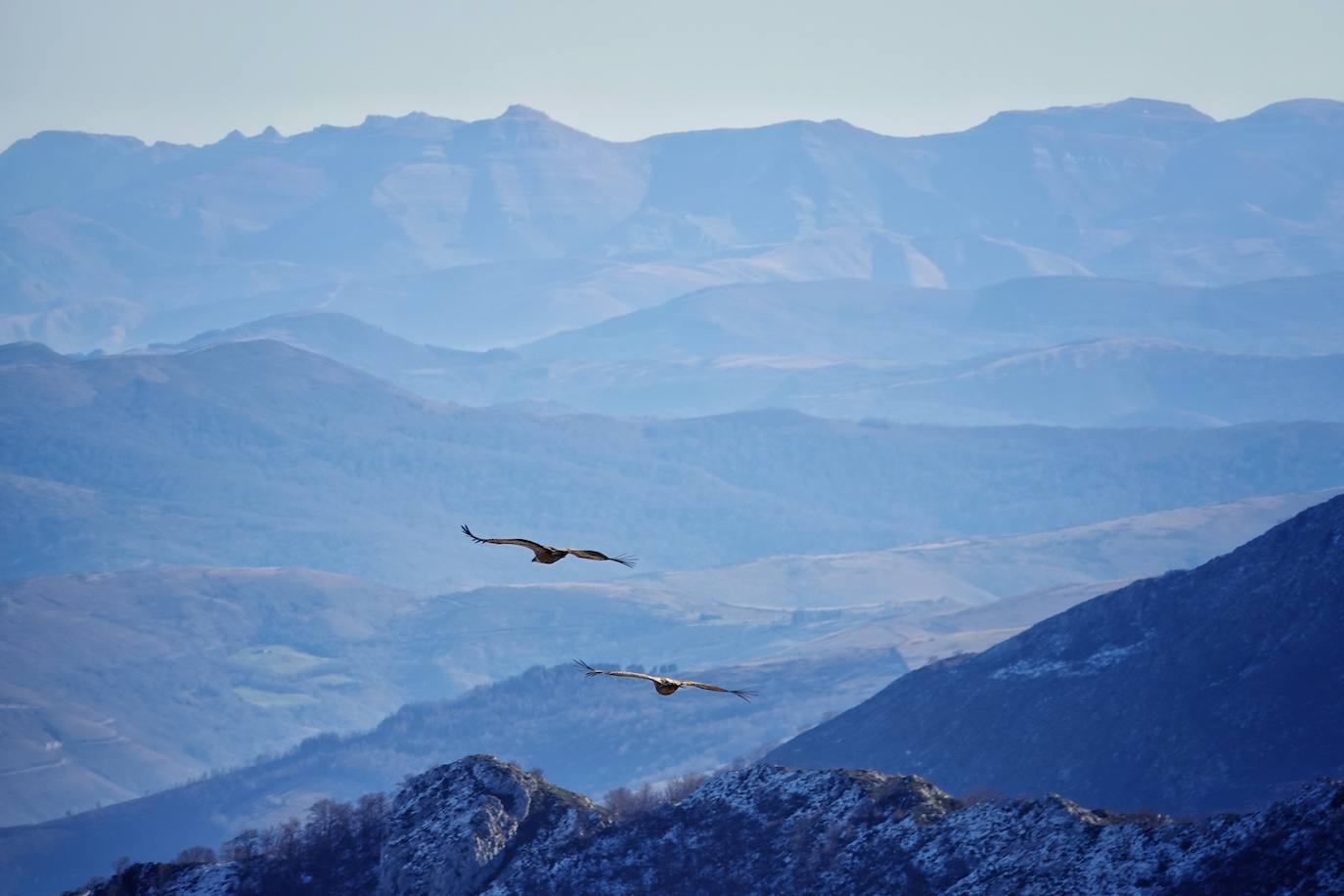 La ascensión a Peña Main (1605m), en pleno macizo de los Urrieles, no resulta complicada y, sin embargo, esta cumbre es una atalaya perfecta para observar los tres macizos de los Picos de Europa y sus cimas más altas y míticas.