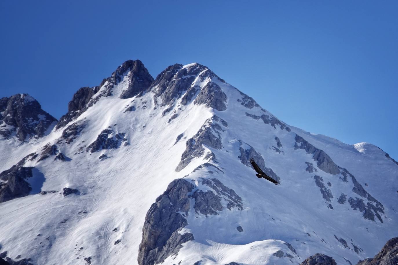 La ascensión a Peña Main (1605m), en pleno macizo de los Urrieles, no resulta complicada y, sin embargo, esta cumbre es una atalaya perfecta para observar los tres macizos de los Picos de Europa y sus cimas más altas y míticas.