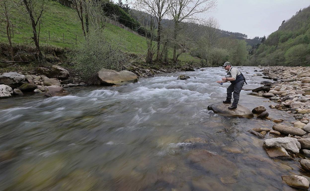 Un pescador en plena acción en el río Saja