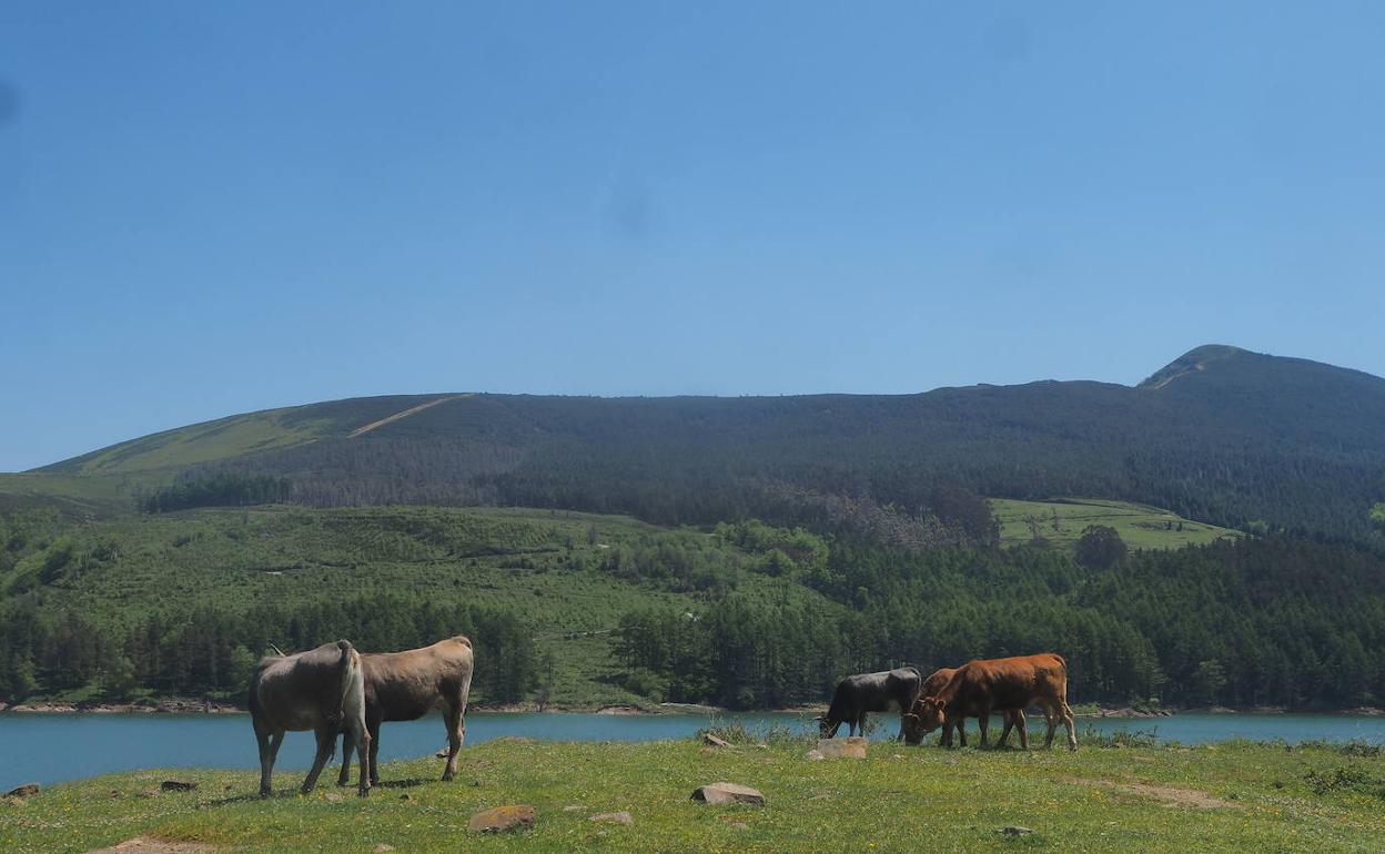 Embalse de Alsa, en San Miguel de Aguayo, zona donde se instalaran aerogeneradores eolicos de Iberdrola