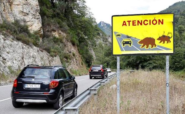 Señal de aviso de riesgo de animales en una carretera secundaria 