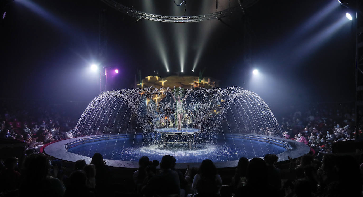 Fotos: El espetáculo del agua bajo una carpa