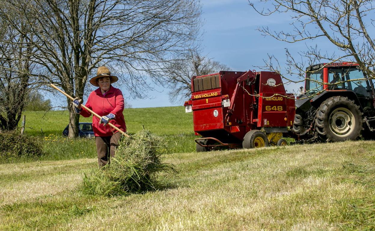 Imagen der archivo de una mujer trabando den el campo