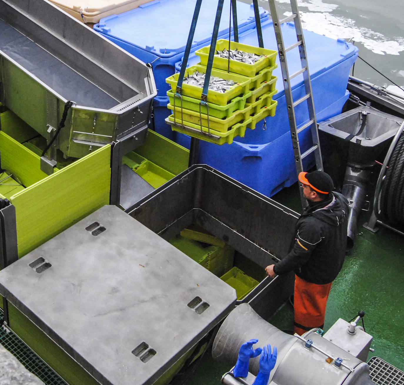 Fotos: La flota desembarca los primeros bocartes