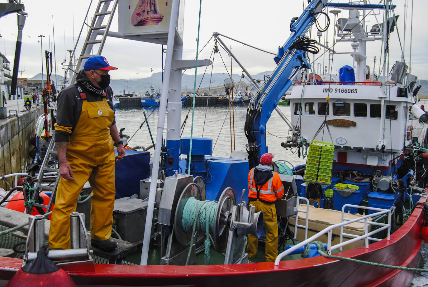 Fotos: La flota desembarca los primeros bocartes