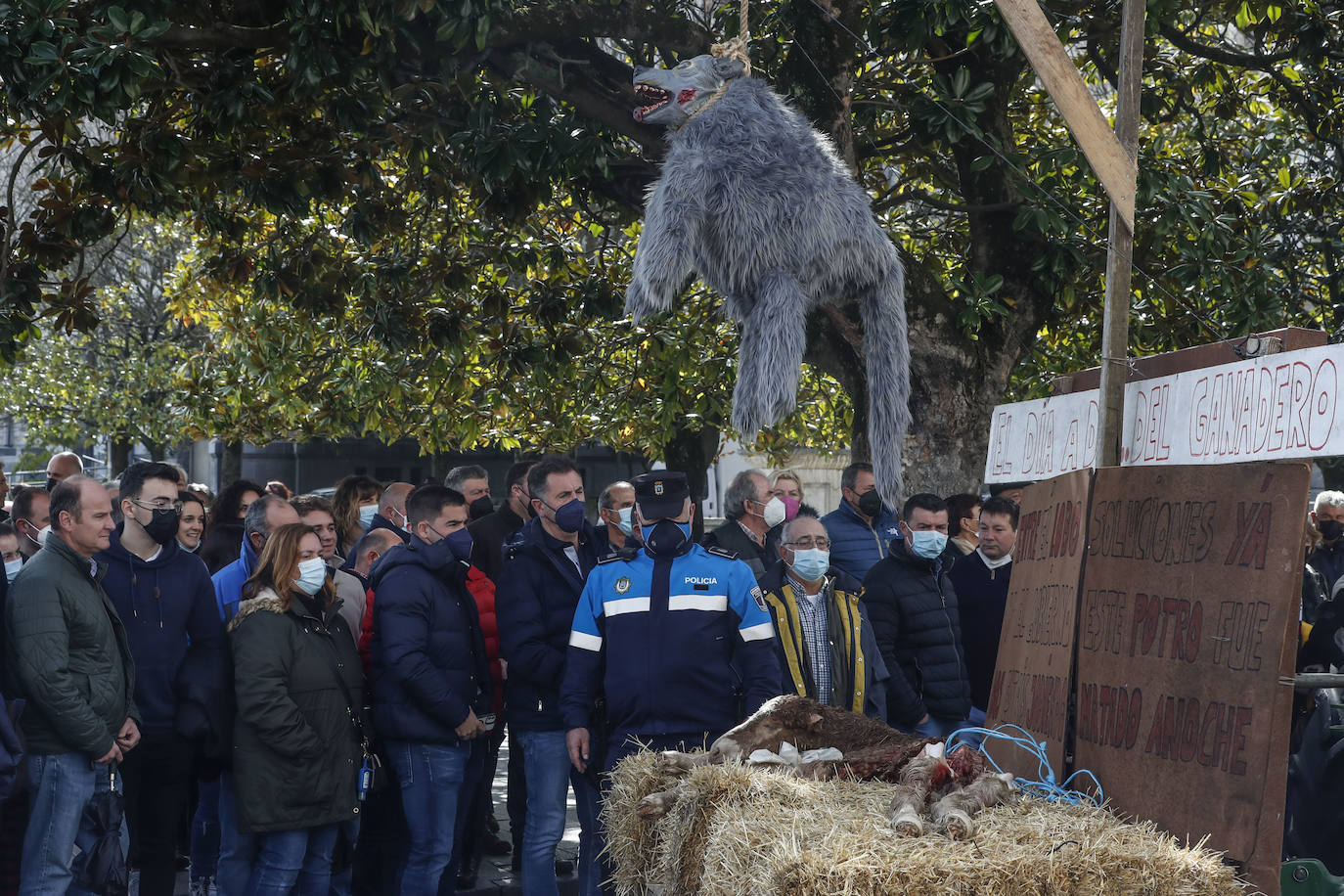 Fotos: Los ganaderos de Cantabria llevan su protesta hasta las calles de Santander