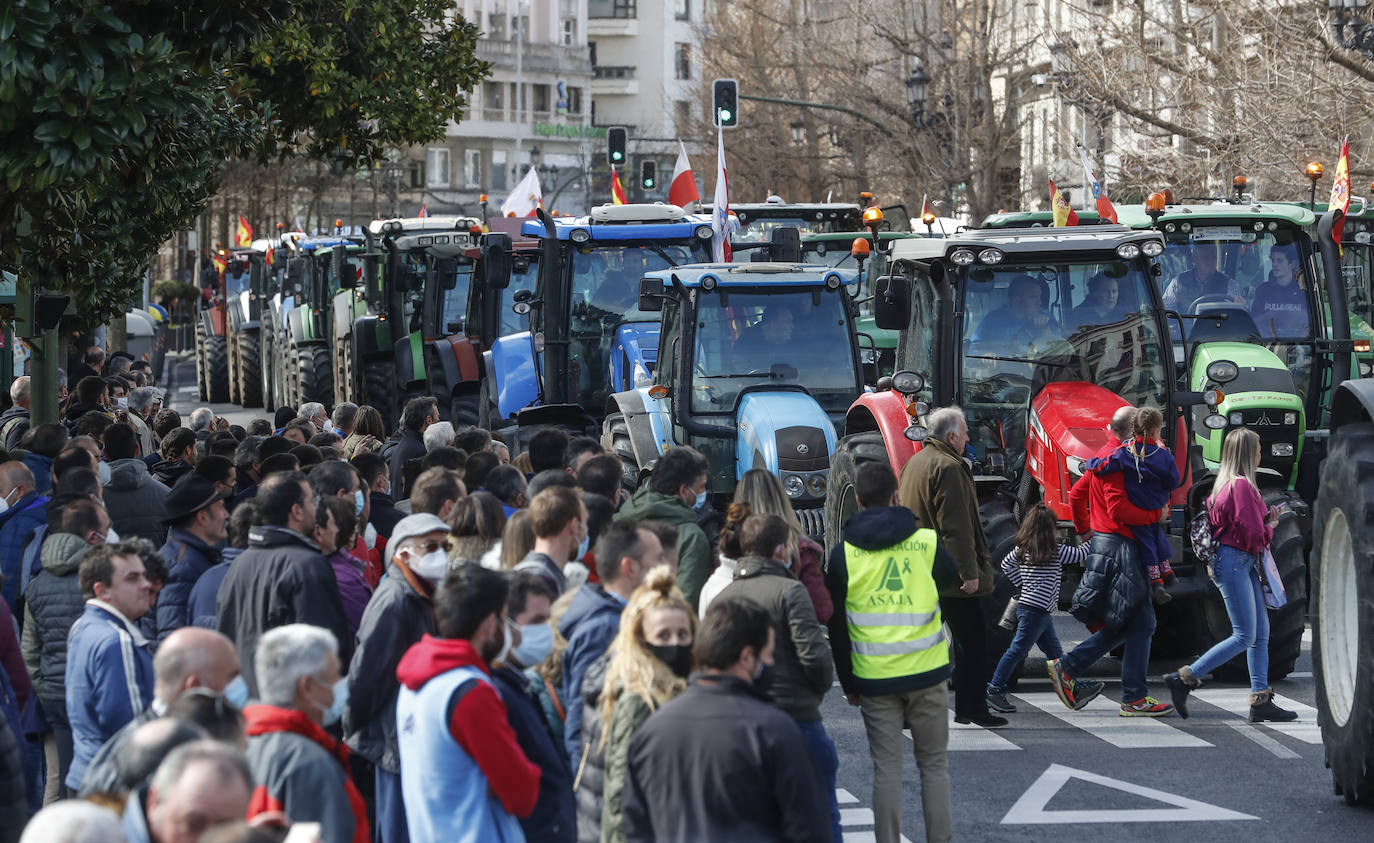 Fotos: Los ganaderos de Cantabria llevan su protesta hasta las calles de Santander