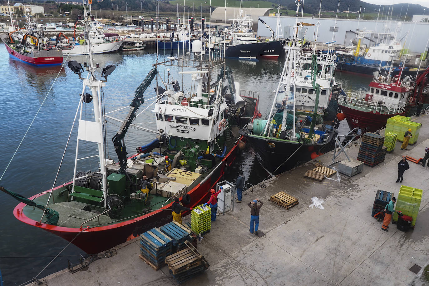 Fotos: Los puertos de Santoña y Laredo reciben el bocarte